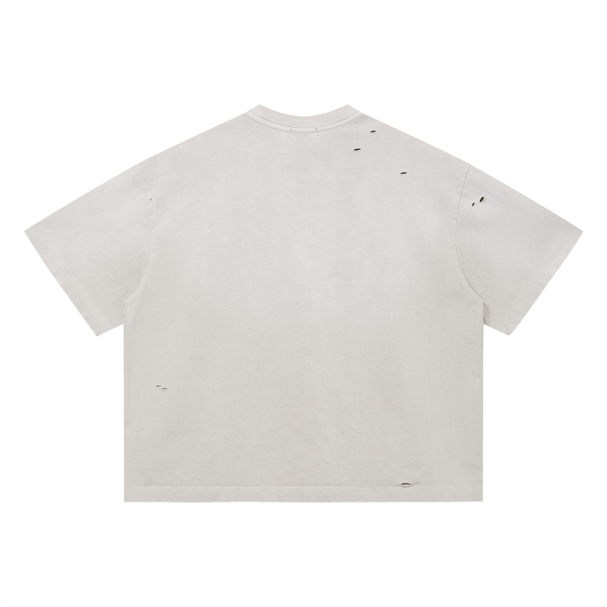 World Ruler Distressed Star T-Shirt